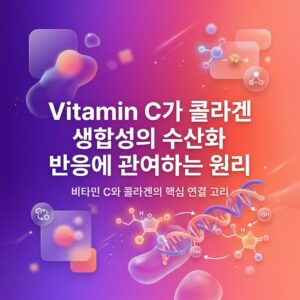 Vitamin C와 철(Fe), 분자 구조, 수산기(-OH), 콜라겐 형성을 상징하는 그래픽을 배경으로 “Vitamin C가 콜라겐 생합성의 수산화 반응에 관여하는 원리”라는 제목이 크게 배치된 대표 이미지