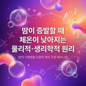 땀방울, 온도계와 증발을 상징하는 요소를 활용해 땀이 피부에서 증발하며 열을 가져가 체온조절에 기여하는 원리를 표현한 대표 이미지