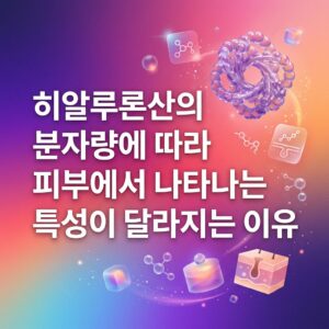 히알루론산의 분자량 차이가 피부에서 머무르는 위치와 수분 보유, 침투 특성에 영향을 줄 수 있음을 고분자 구조와 분자, 피부 단면 요소로 표현한 대표 이미지