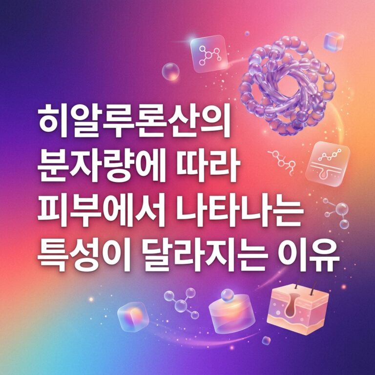 히알루론산의 분자량 차이가 피부에서 머무르는 위치와 수분 보유, 침투 특성에 영향을 줄 수 있음을 고분자 구조와 분자, 피부 단면 요소로 표현한 대표 이미지