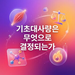 근육과 균형 저울, 분자 구조와 불꽃 아이콘을 활용해 체격과 제지방량, 에너지 소비가 기초대사량 결정에 관여하는 모습을 표현한 이미지